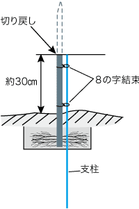 植付け