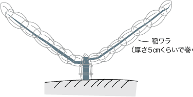 防寒対策