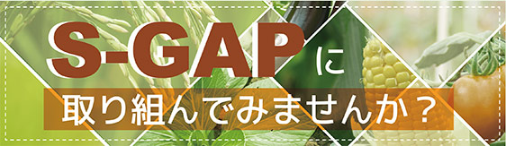 S-GAPに取り組んでみませんか？