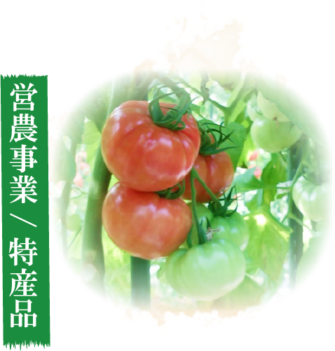 営農事業/特産品