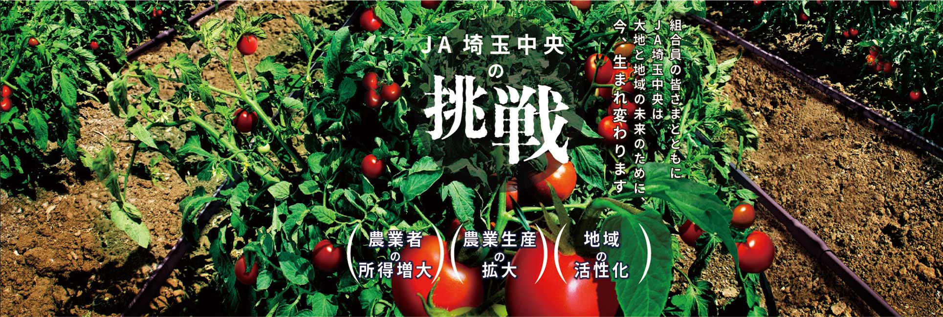 JA埼玉中央の挑戦