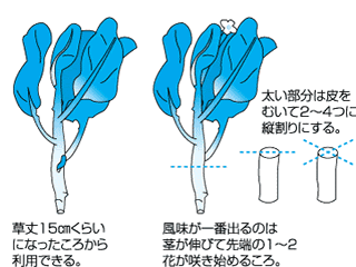 カイラン