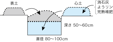 植穴の準備