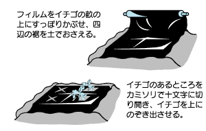 200401.gif