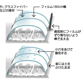 手軽にできるトンネル栽培