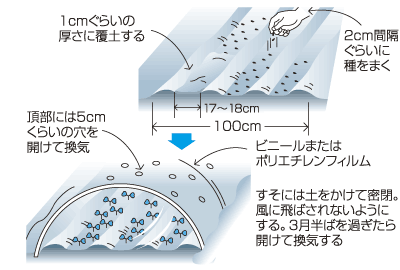 コカブトンネル