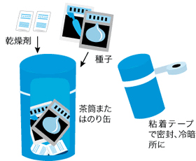 余った種子の貯蔵法