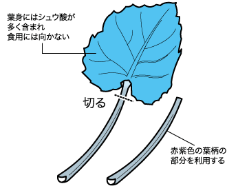 ジャムに最適ハーブ