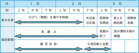 栽培管理