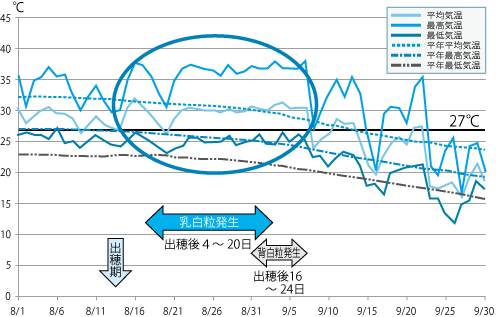 気象条件