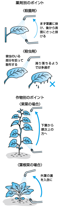 病害虫の防除と農薬の上手な使い方