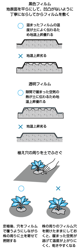 フィルムマルチ、敷きわらの基礎