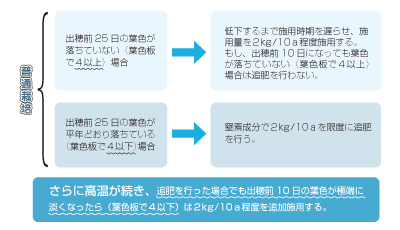 普通栽培