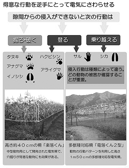 電気柵の雑草対策シート