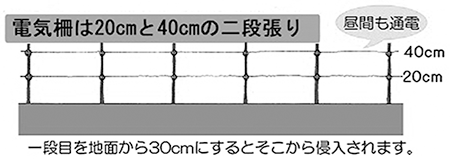 電気柵の2段張り