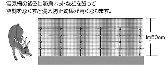 シカの場合2