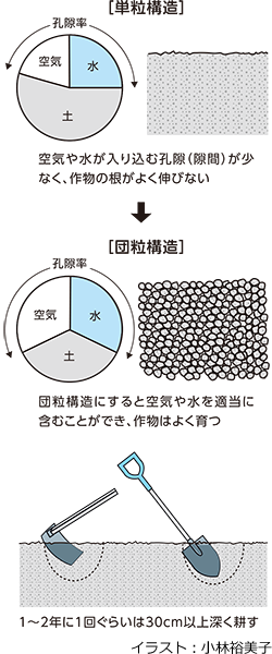 次年度に向けた土作り