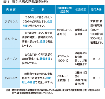 苗立枯病