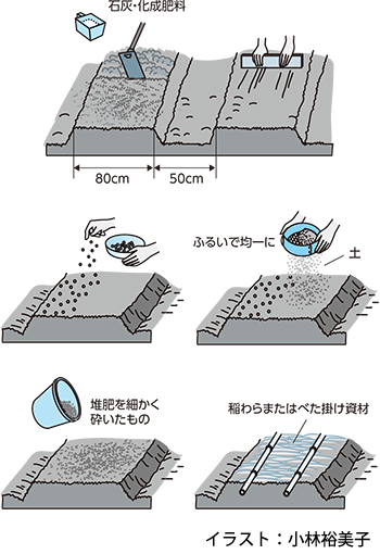 美味しく食べようタマネギ