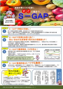 S-GAP チラシ