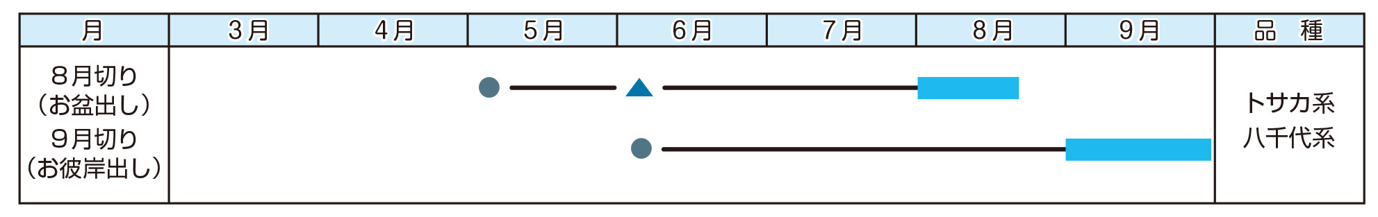 keitousaibai