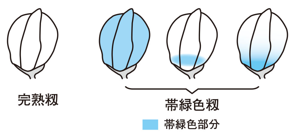 2020年09月_営農_図1