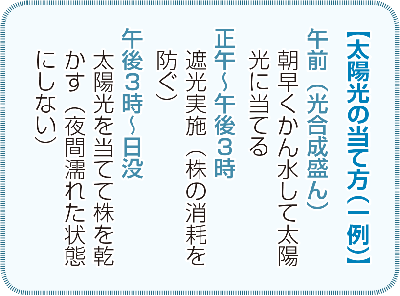 2021年2月_営農_太陽光の当て方