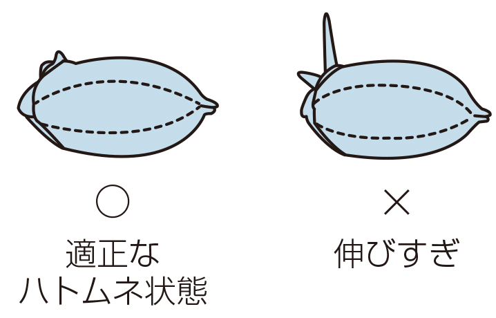 適正なハトムネ状態