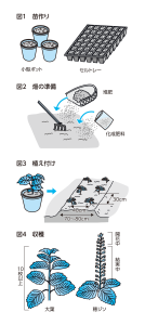 シソ さまざまな用途を楽しむ