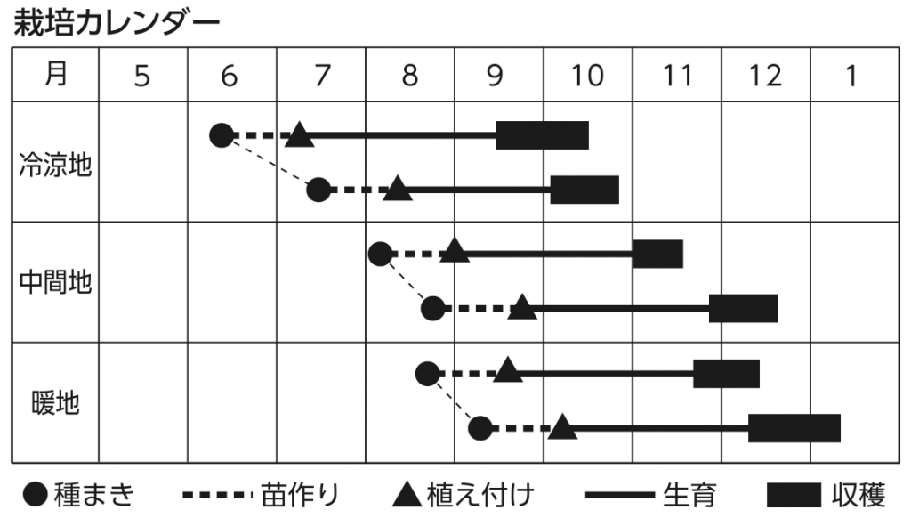 2023年7月_家庭菜園_栽培カレンダー