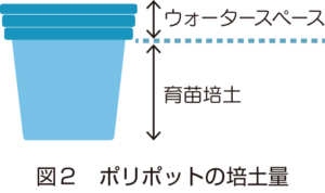 図2_ポリポットの培土量