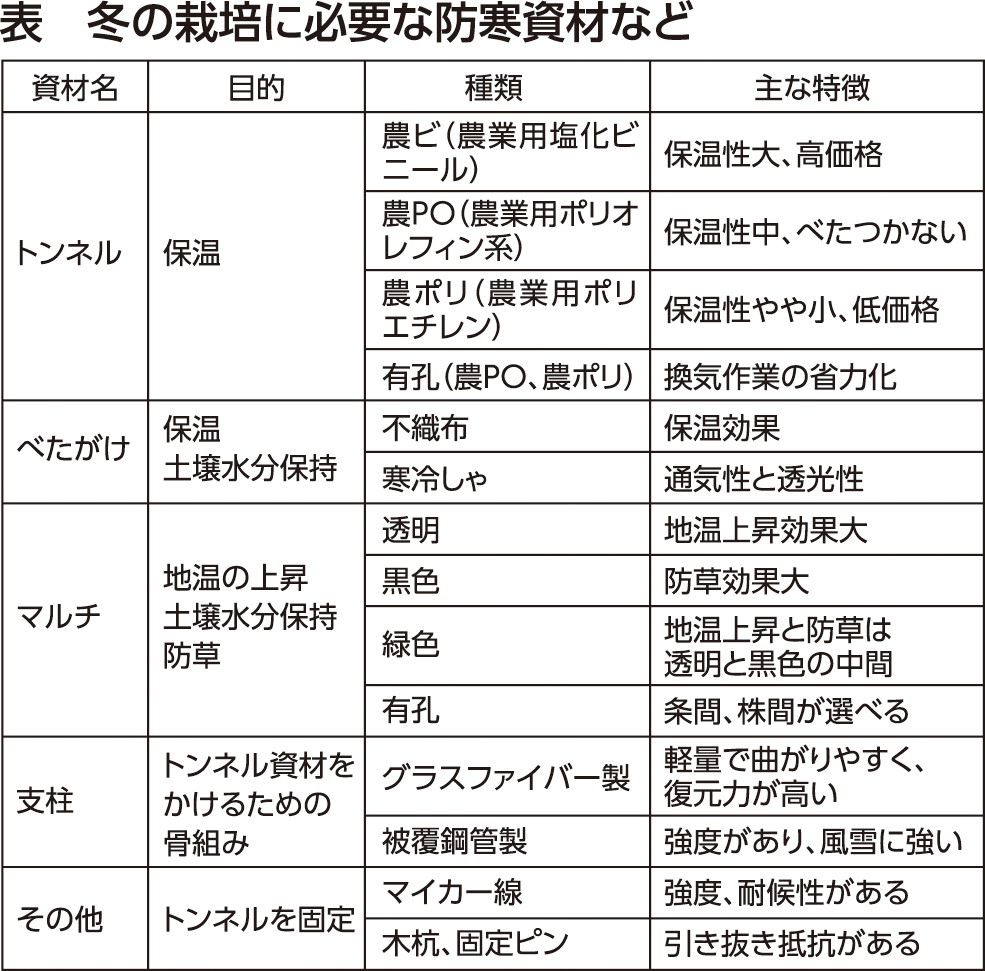 11月_家庭菜園_表1